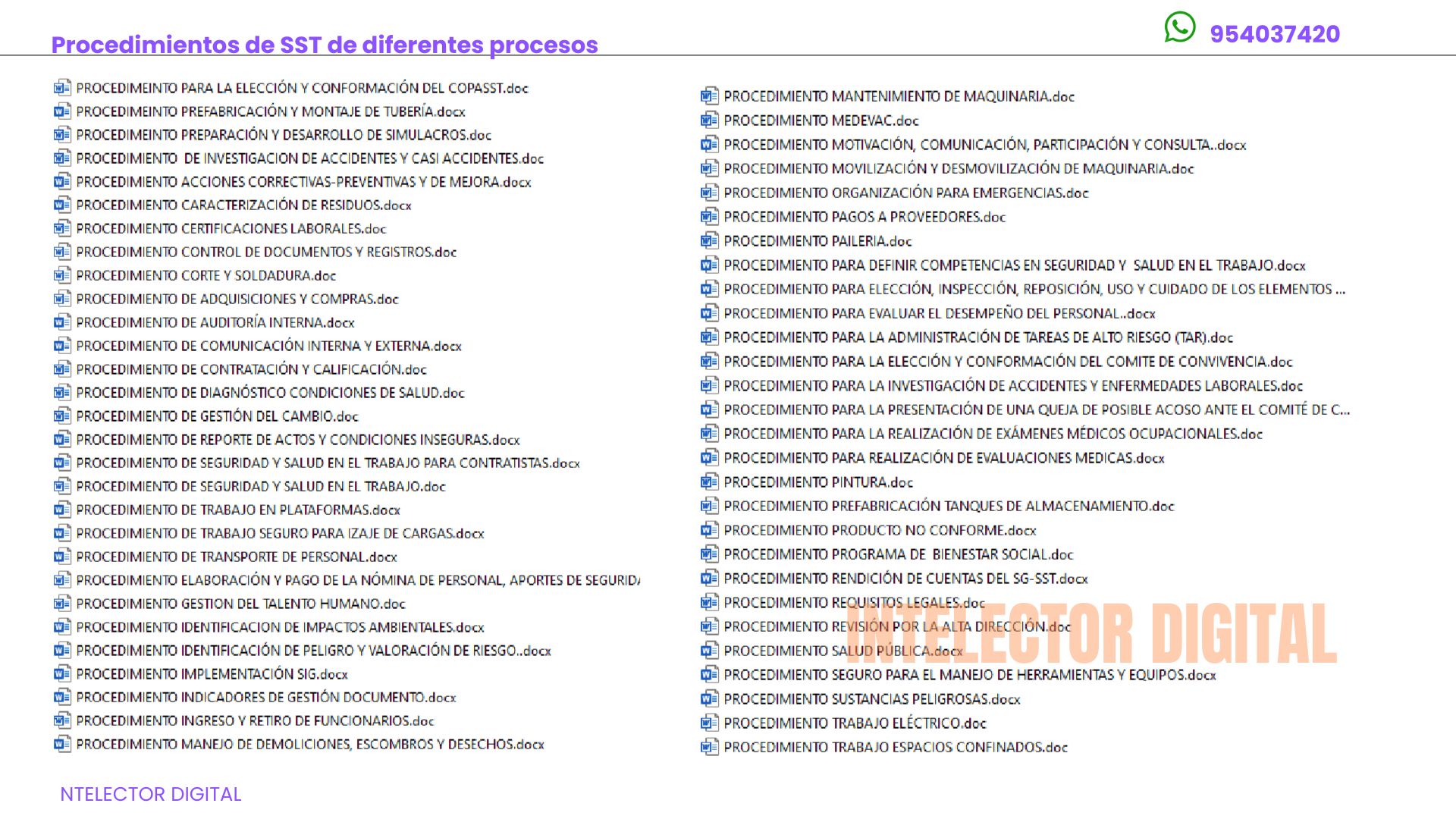 Imagen 13